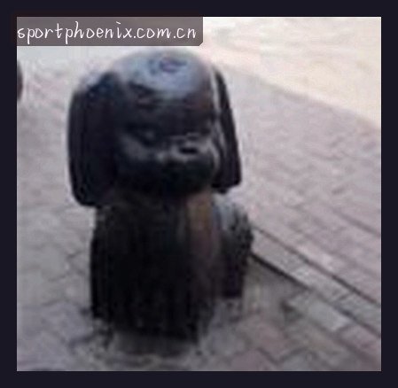 孙丽