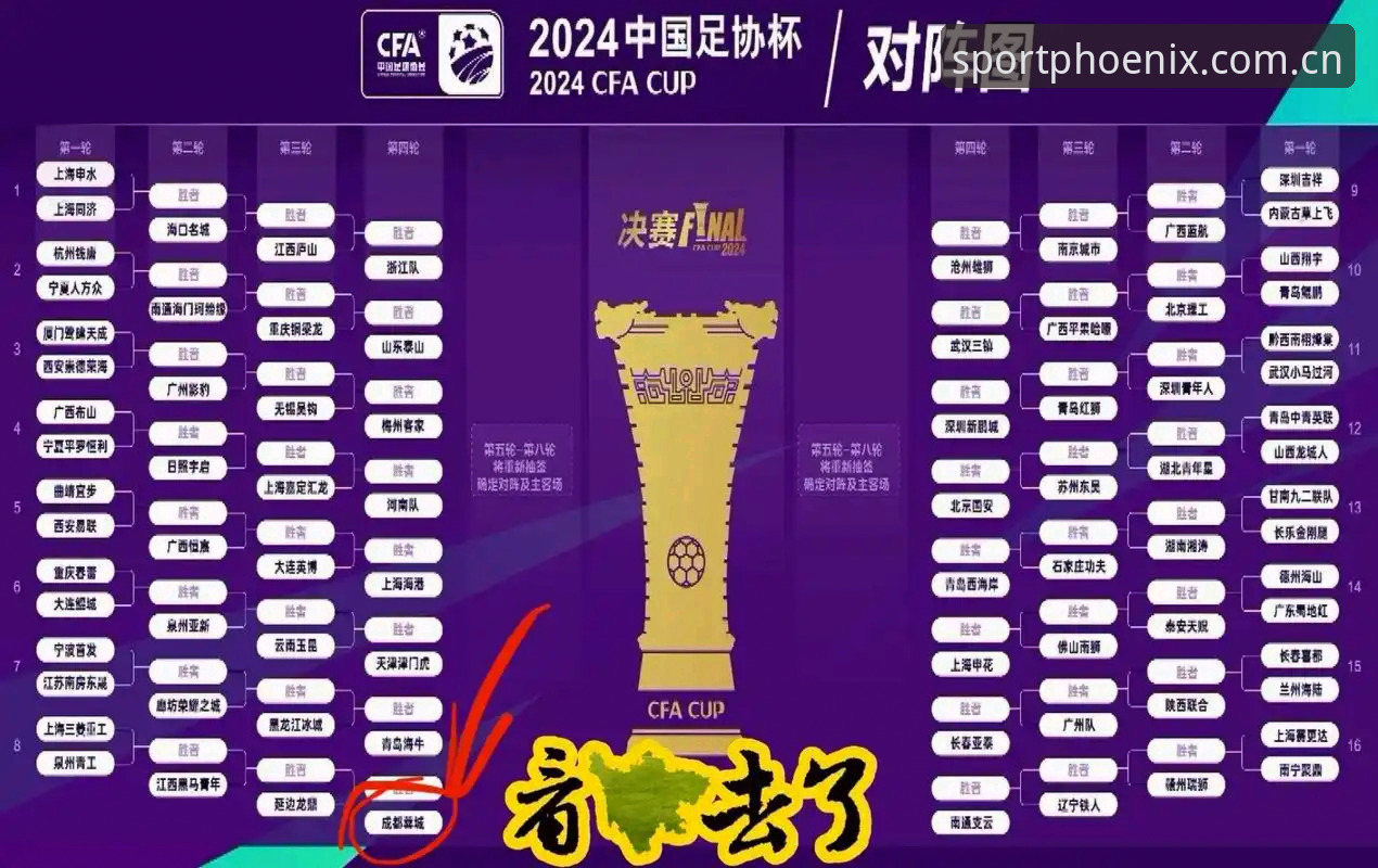 凤凰体育全球赛事 终身禁足vs五年禁赛:中国足协第三批禁足名单对比分析,凤凰体育全景解读